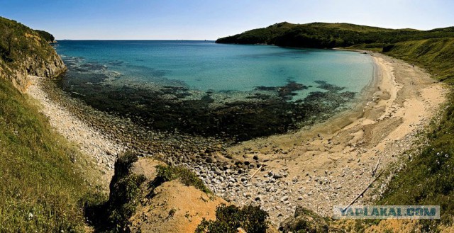 Природа Приморского края