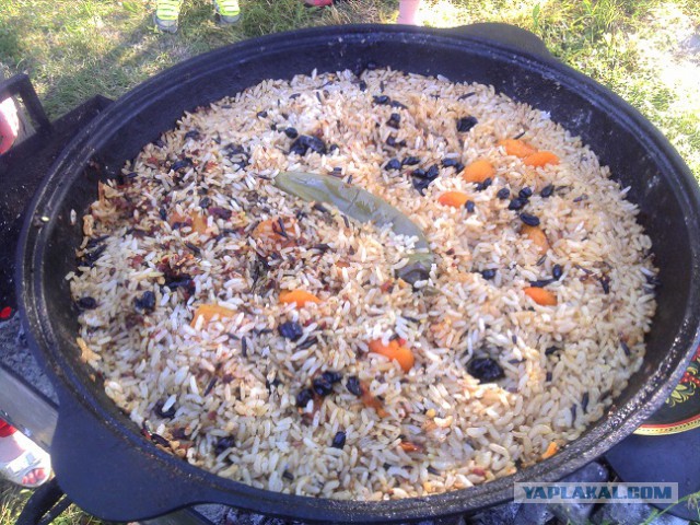 Пловские старания, ... эпическое полотно о Плове...