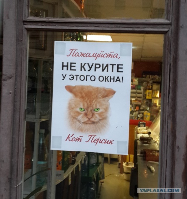 Весёлые картинки