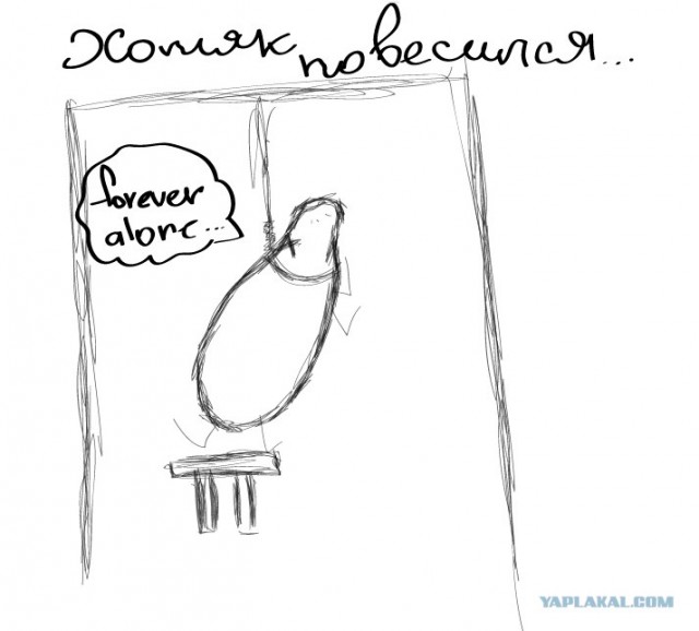 Про хомяка