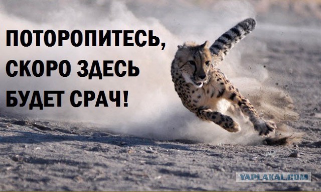 Еще один