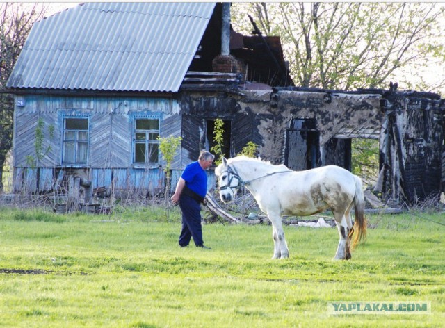 Деревня