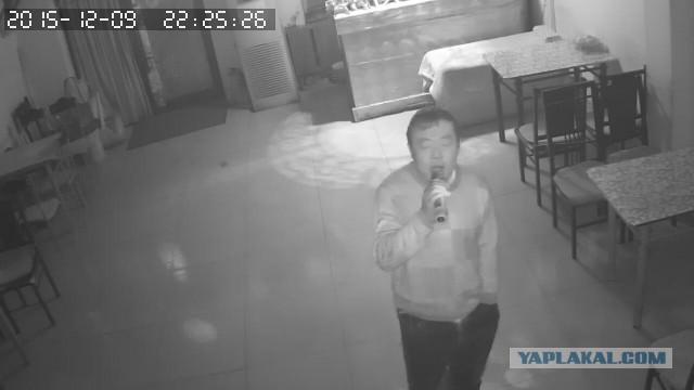 За что я люблю китайцев