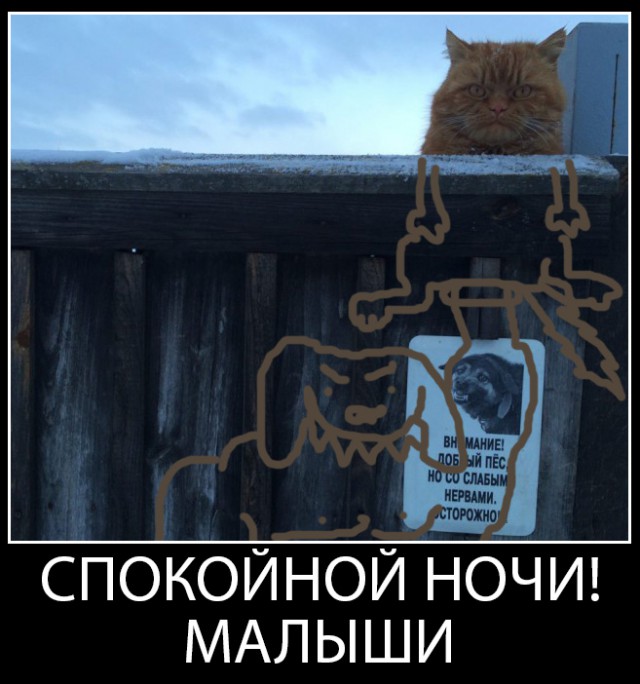 Добрый пёс со слабыми нервами.