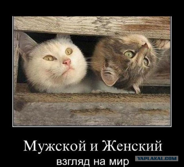 14 фото о женских страданиях, которых мужчинам не понять