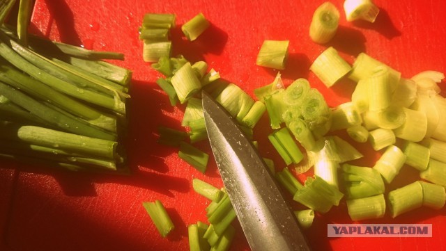 Фастфуд-пикник на день рождения ЯПа