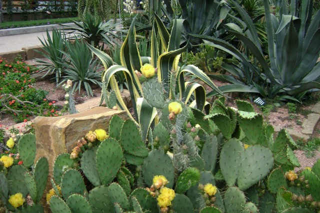 Крым как он есть