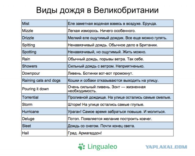 Любопытное в нашей жизни. Часть 2