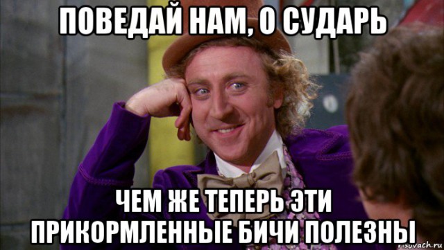А туда ли направляют гуманитарную помощь?