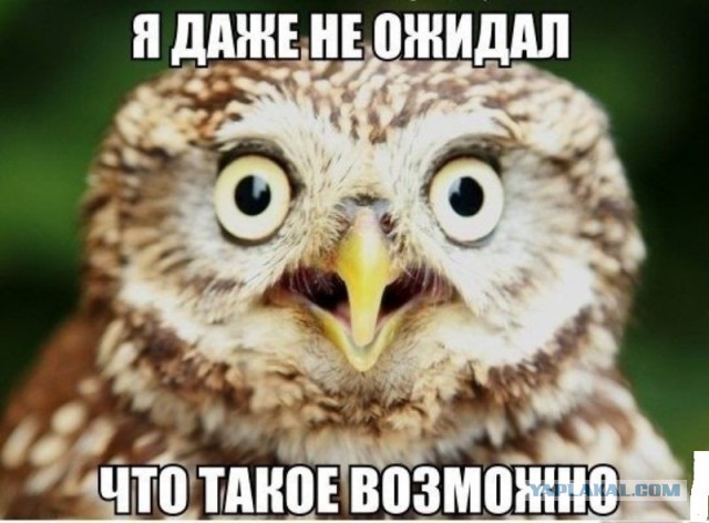 Как я поменяла вариатор за 11600руб