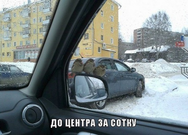 Порция картинок