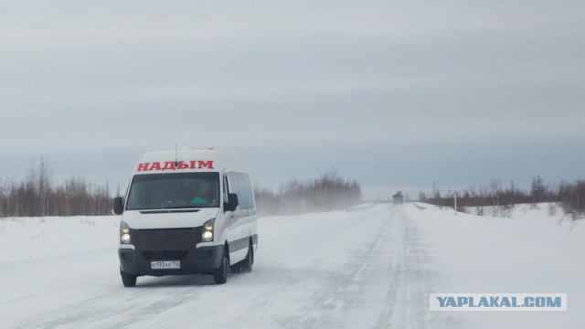 Новый Уренгой-Надым, покатушки  в выходные на День Оленевода