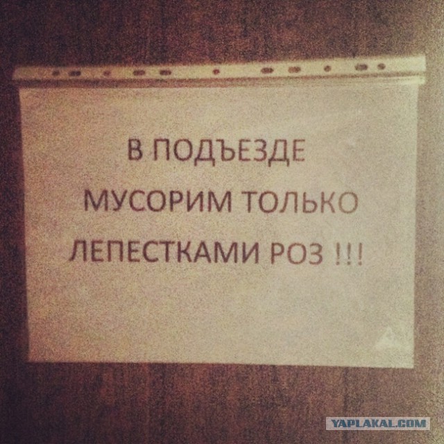В нашем доме поселился "замечательный" сосед