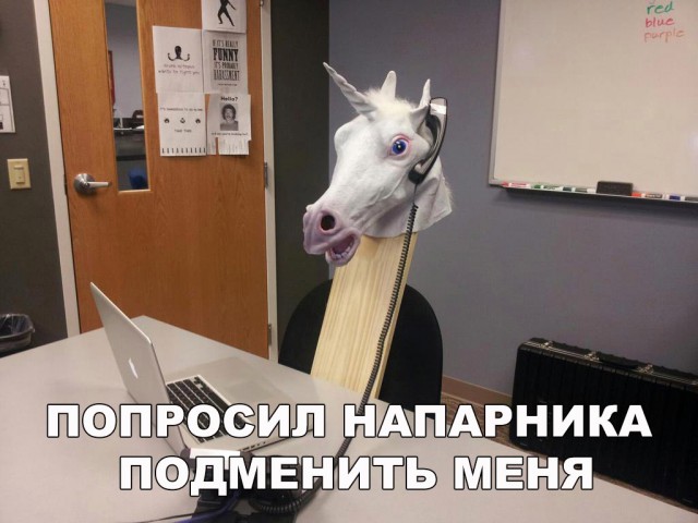 Подборка безудержного веселья