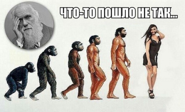 Тупик эволюции