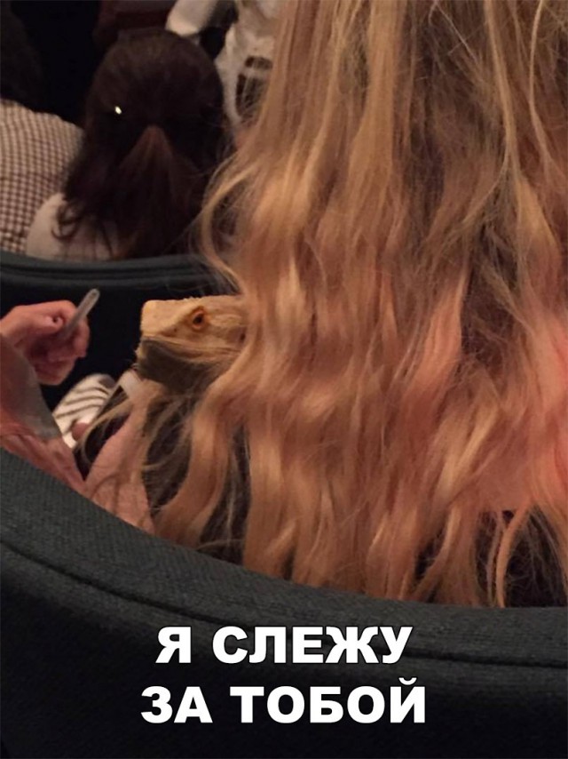 Нестандартный юмор