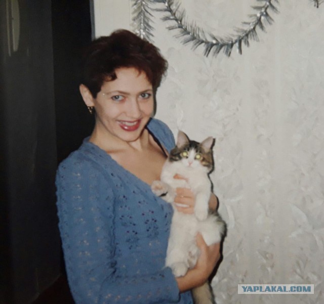 А давайте отвлечемся от политики и всяких прочих санкций, и начнем котовторник 10. 04. 2018