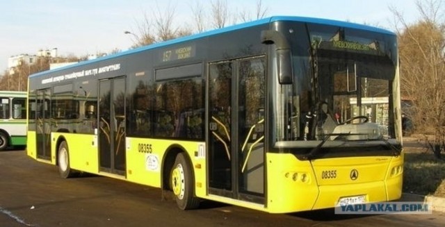 Общественный транспорт в Германии.Buss.