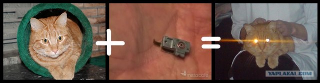 Мы работаем на аккумуляторах и от сети