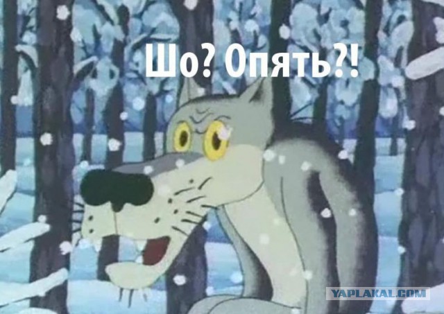 Путин предложил не наказывать тюрьмой за мелкие преступления