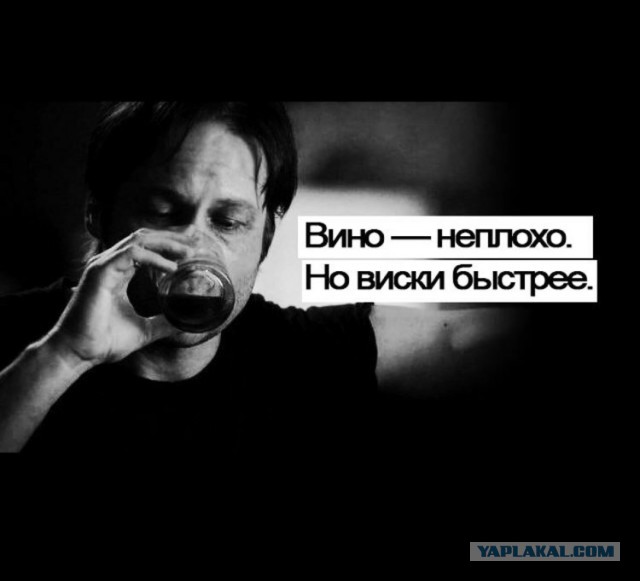 Подборка интересных и веселых картинок 23.12.18
