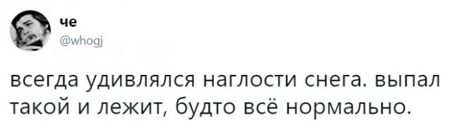 Смешные комментарии из социальных сетей 25.01.2019