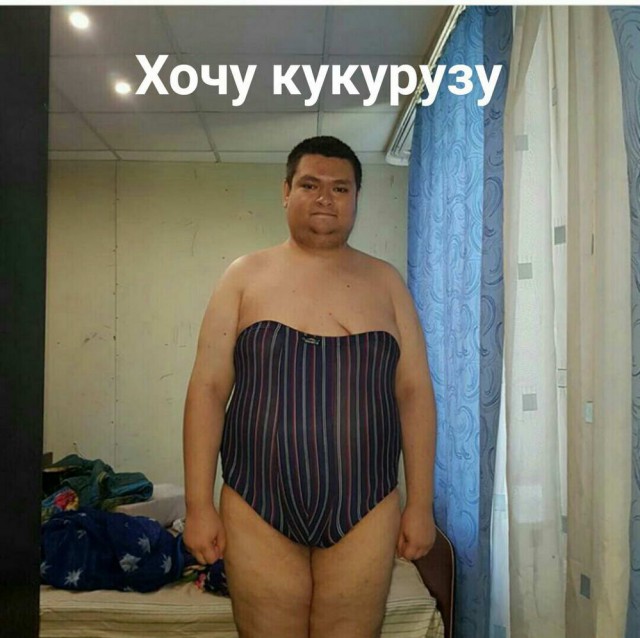 Скотсети и прочие интернеты 01.02.19