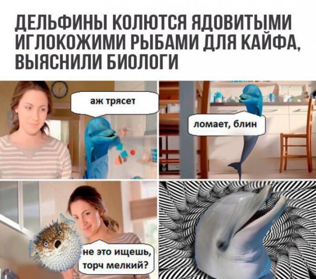 Немного картинок для настроения