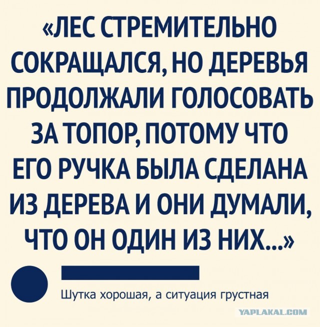 Матвиенко: Путин поднял Россию с колен и должен иметь право снова стать президентом