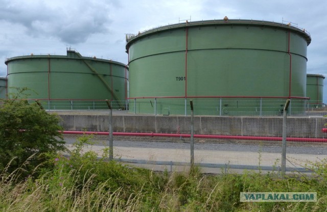 Путин согласился ввести режим ЧС федерального уровня из-за разлива нефти в Норильске
