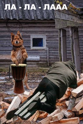 Каникулы в Простоквашино