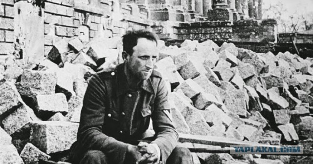 Очевидцы публикуют видео из центра Вены, где, как сообщают местные СМИ произошло нападение на синагогу