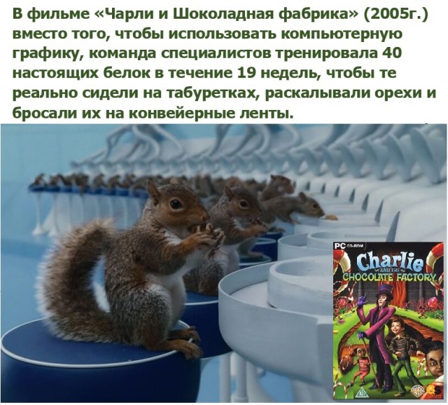 Картинки с надписями и всякие жизненные фразы