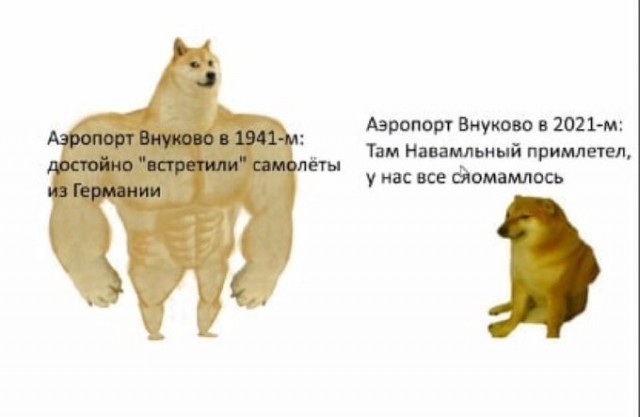 Стрим возвращения Навального из Берлина во Внуково