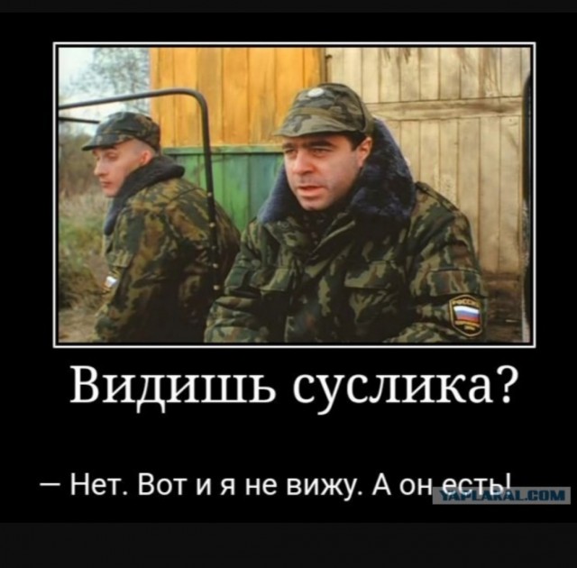 Пандемия. Коронавирус. Россия и мир. Последняя информация. Часть 21