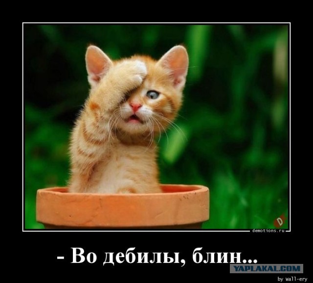 Власти собираются запретить в российских школах Windows и Office