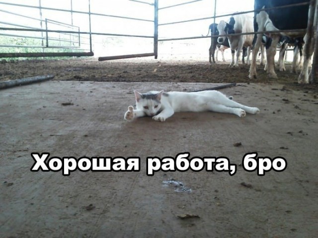 Как я рисовал Эльфийку