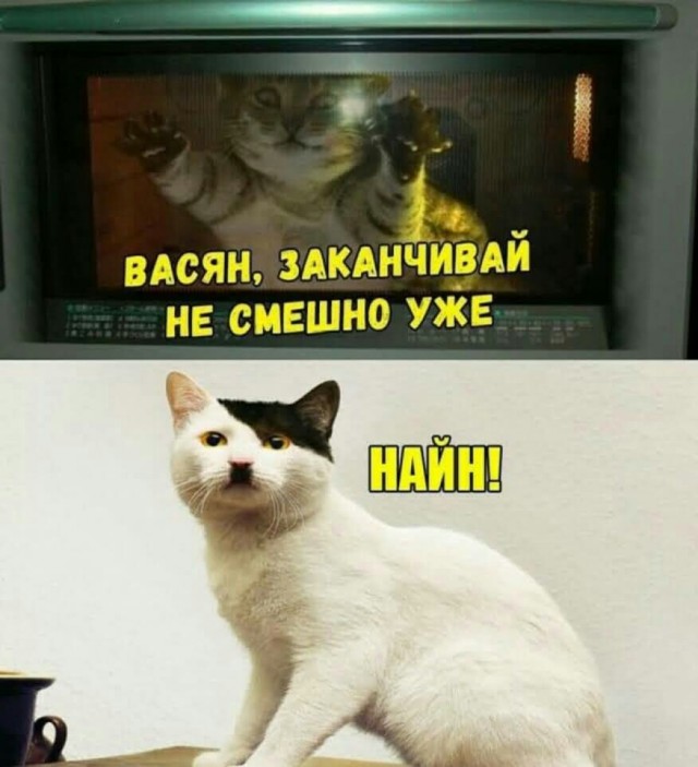 Чернушные картинки, как же без боянов...