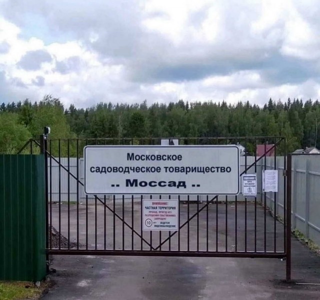 Картинки и мемы для настроения 11.08.2021