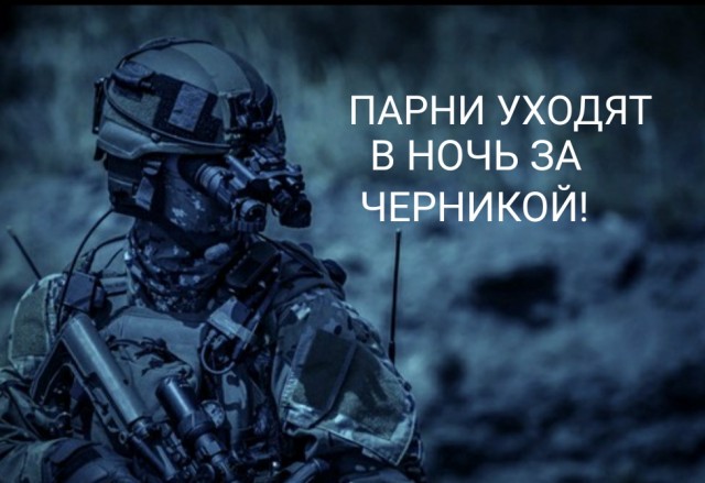 Троим жителям Франции, собравшим 96 кг черники, грозит тюрьма