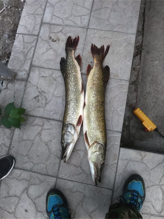 Рыбалка