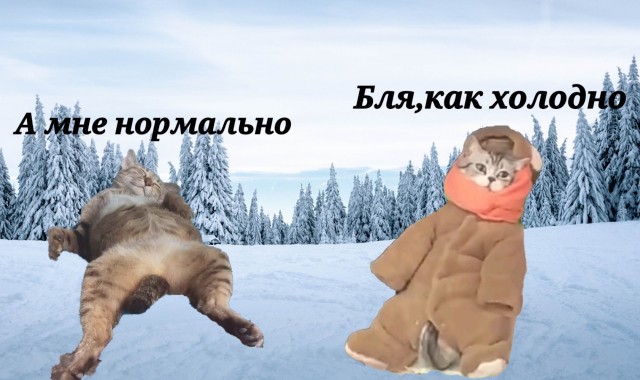 Теперь он сам продаёт рыбов