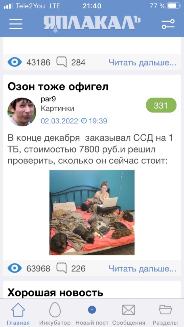 Эту невероятную девушку зовут Настя Марципан, и она спасает животных в Николаеве, пока вокруг ее дома слышны взрывы