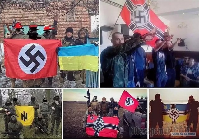Чо это за массовый психоз?