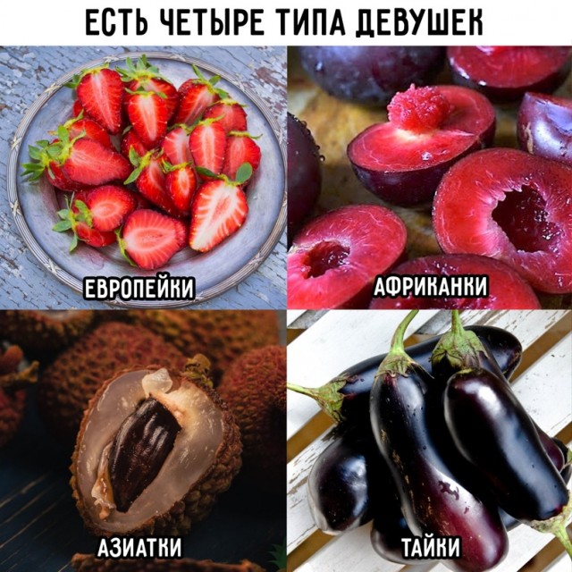 Весёлый полтишок 11.04.22