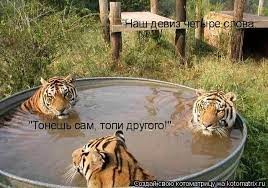 Зеленский раскритиковал Грецию и Турцию за прием российских туристов