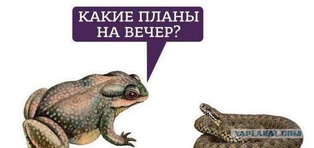 Неудобное интервью