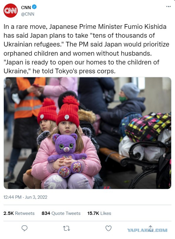 Япония планирует принять десятки тысяч украинских беженок