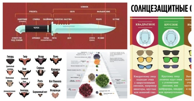19 важных, нужных и познавательных шпаргалок, которые могут пригодиться в жизни