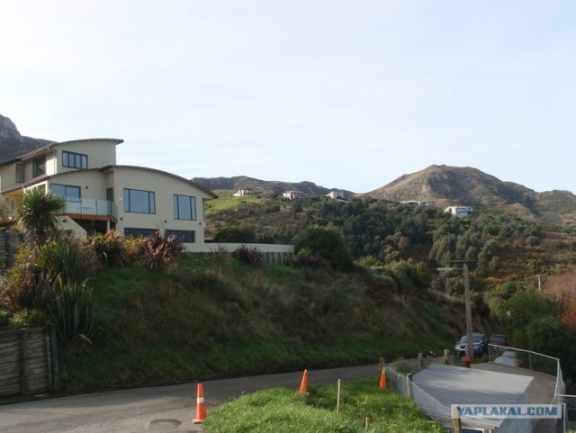 На машине по Новой Зеландии